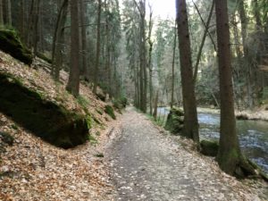 Wanderweg im Elbsandsteingebirge Foto: Jenz Steiner
